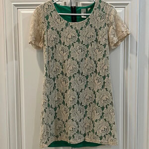 Francesca’s Collection Birdcage Stretch Lace Shift Dress Large Beige Gre…